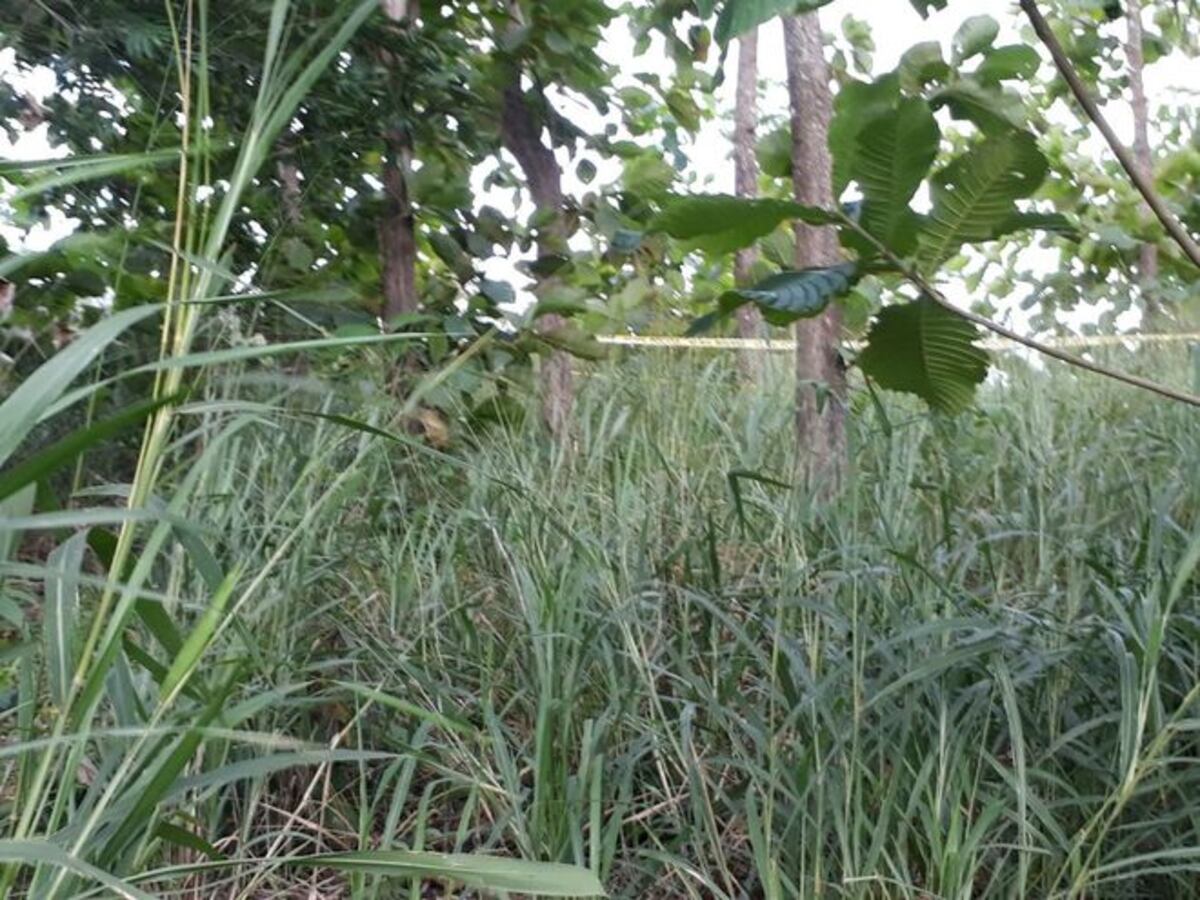 ÚLTIMA HORA. Hallan cadáver en río Congo, La Chorrera 