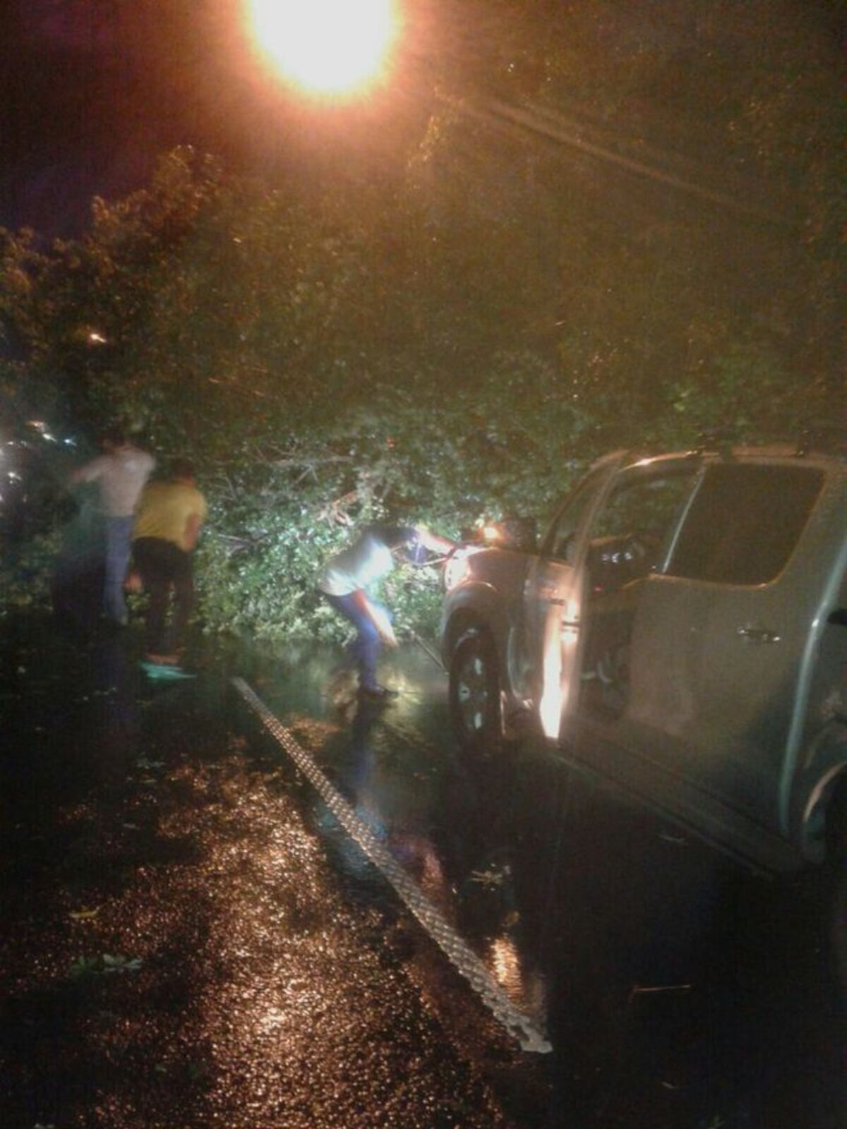 ÁRBOL CAE Y TRANCA LA AUTOPISTA. A  la altura de Loma Cová