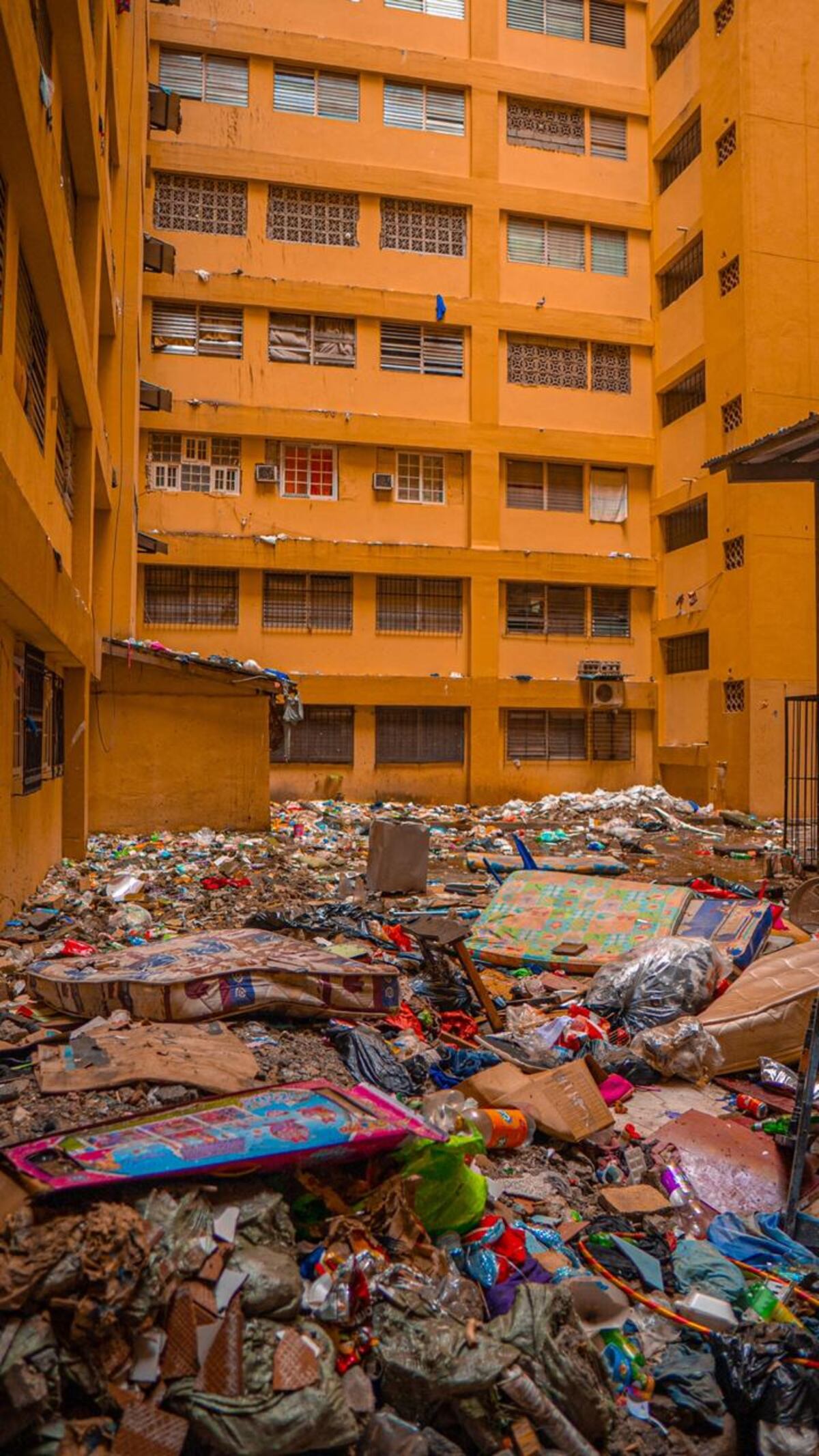 Gusanos, chinches y cucarachas. Judy Meana exhibe la cochinada de Patio Pinel