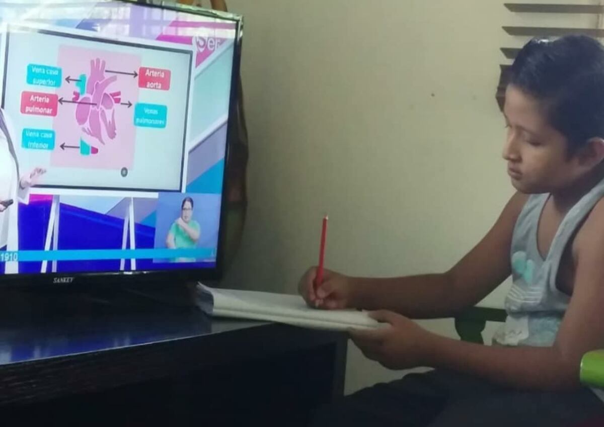 Atención. Clases en casa aumentan la ansiedad en niños y adolescentes. Más efectos de la cuarentena