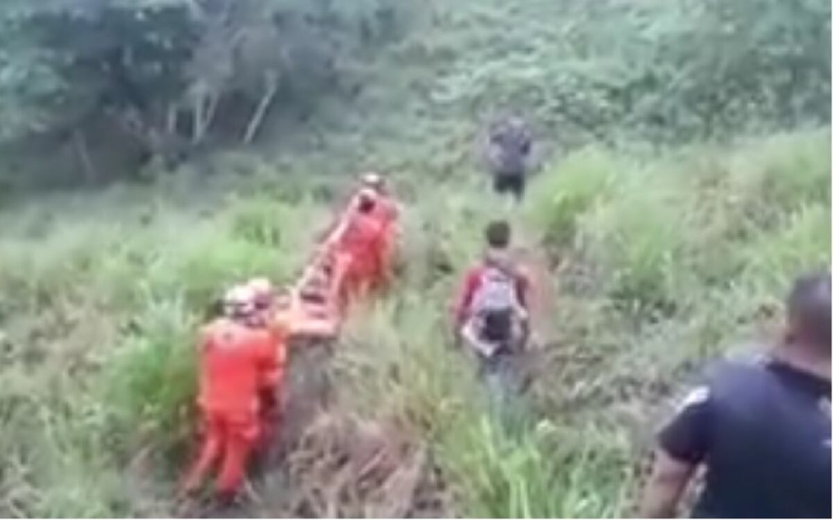 En Chiriquí dos hombres mueren luego de que el árbol que talaron les cayera