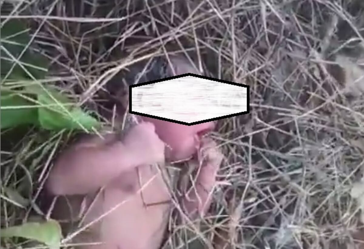 Desgarrador. Encuentran bebé recién nacida abandonada en potrero bajo el sol