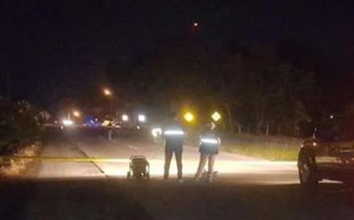 LO IDENTIFICAN. Desmembrado  en vía Panamericana 