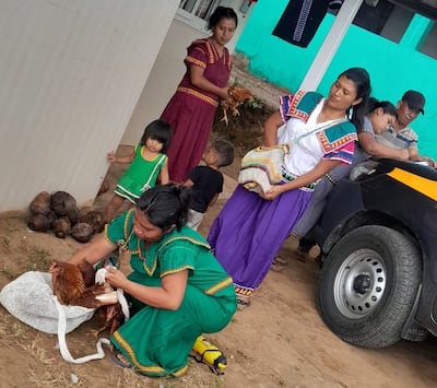130 familias rurales reciben apoyo para producir alimentos en sus hogares 