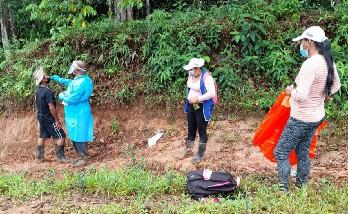 Reportan 969 nuevos contagios de covid-19 en Panamá este jueves