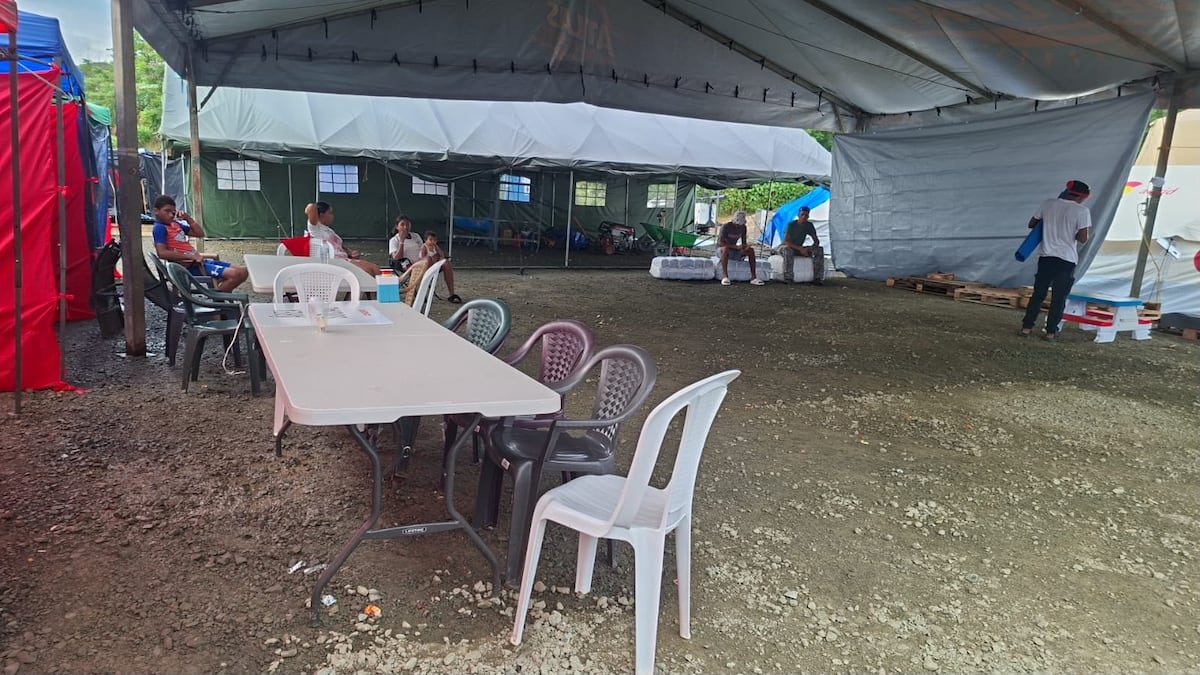 Exclusiva. ‘Tener comida y dónde dormir no basta’: Daniel Pérez revela la otra cara del albergue de Isla Cañas tras el terremoto