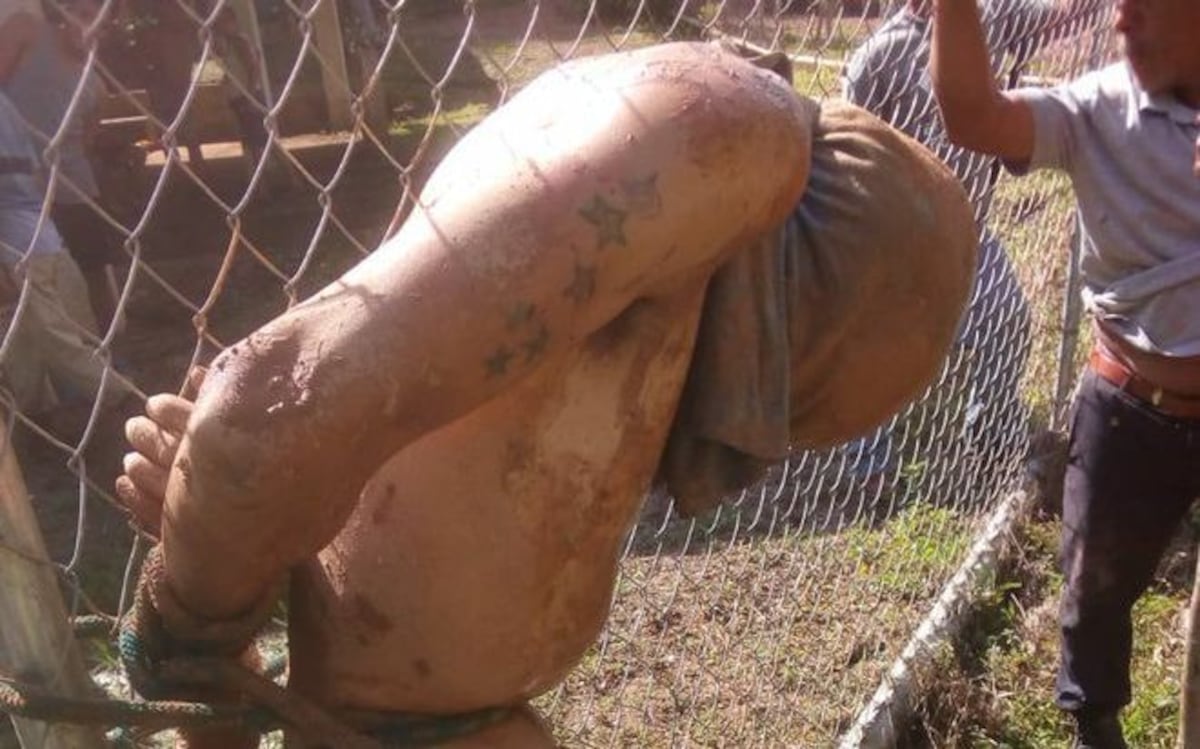 ¡Se cansaron! Se toman la justicia por sus manos y atrapan a uno en Capira