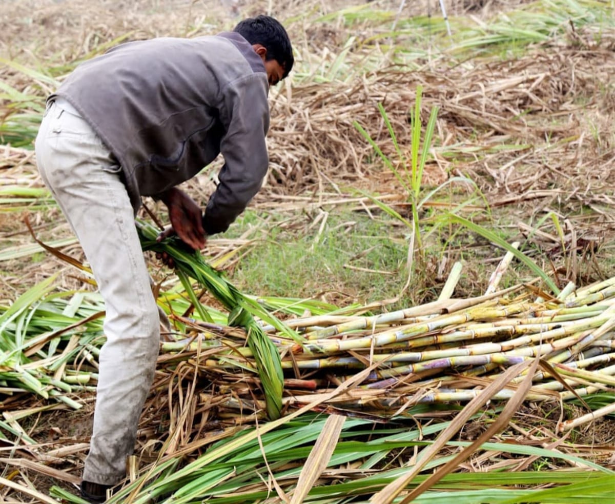 Se implementará bioetanol en las gasolineras a partir de 2026
