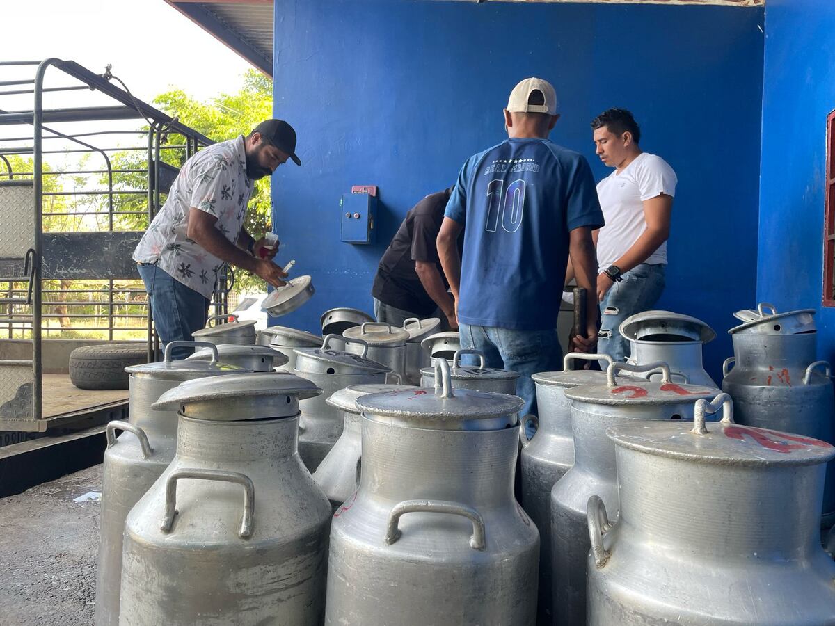 Ganaderos denuncian pérdidas ante la falta de compromiso de la empresa láctea