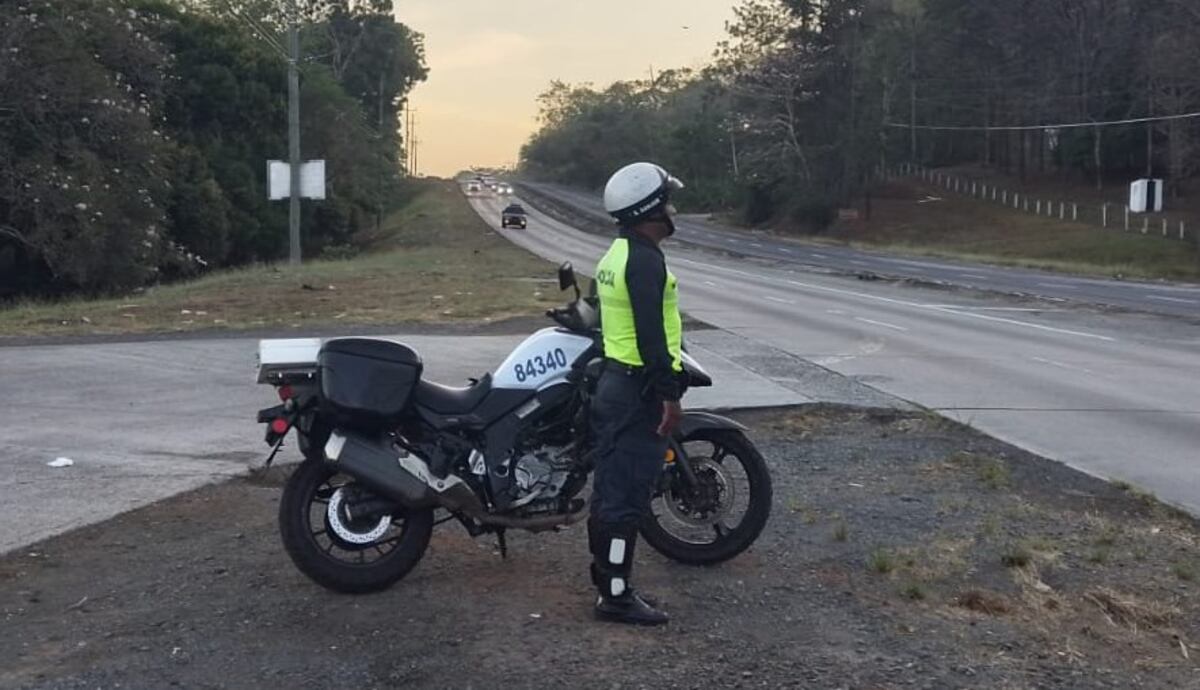Durante las últimas 24 horas los estamentos de seguridad aprehendieron a 210 personas
