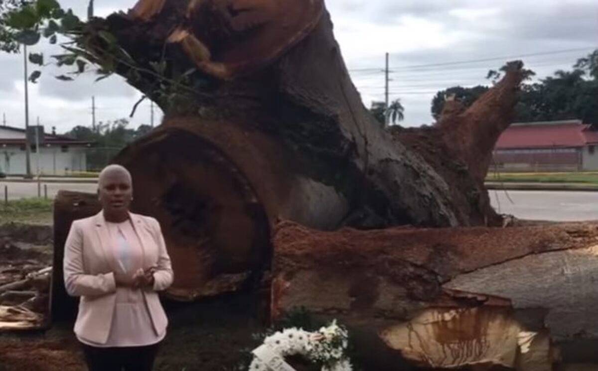 Mamá de niño que muere al caerle árbol rompe el silencio, mañana es el sepelio