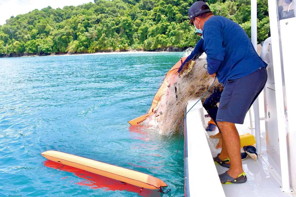 Especies del Parque Nacional Coiba en peligro