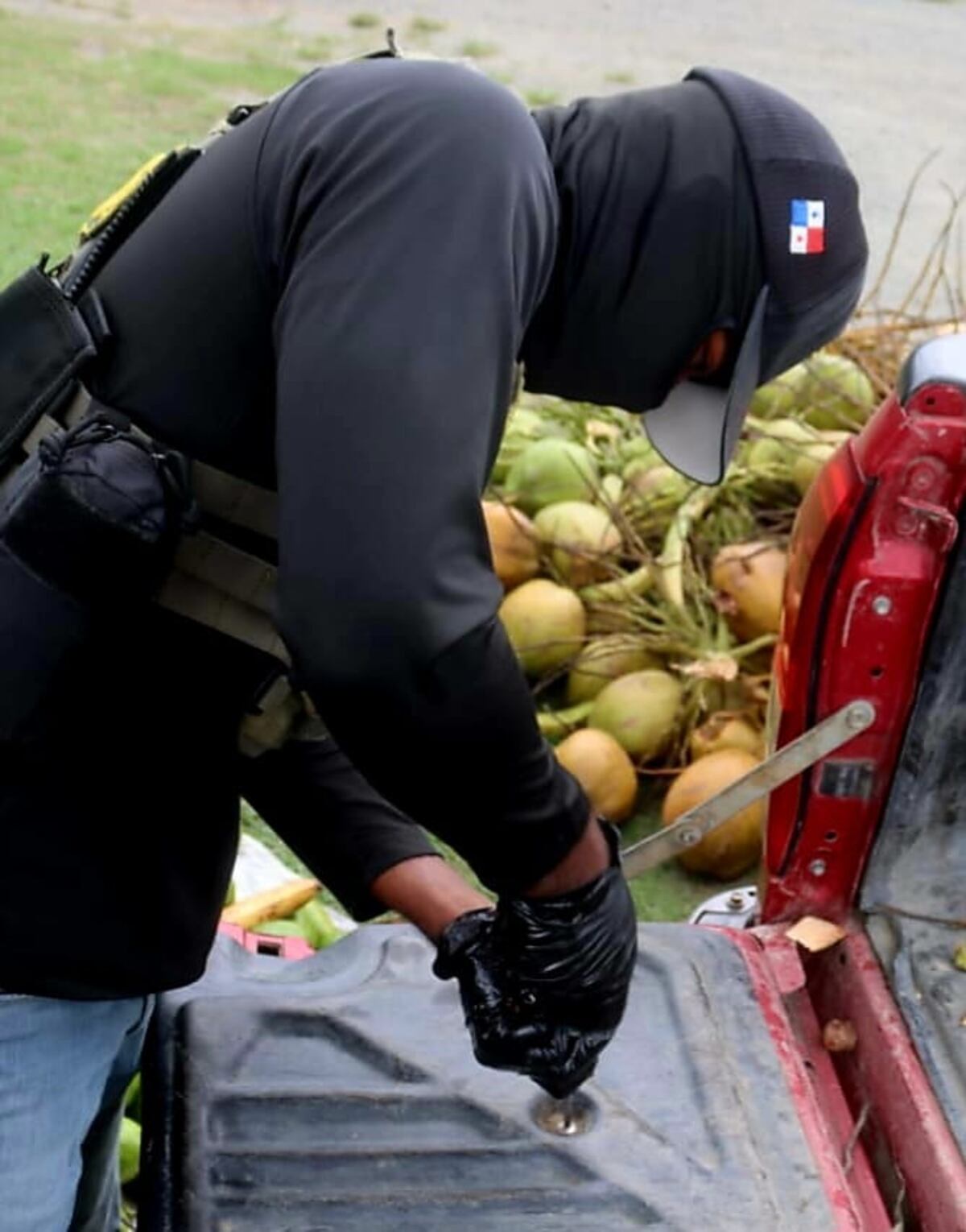 Can detecta algo raro en carga de aguacates y pipas