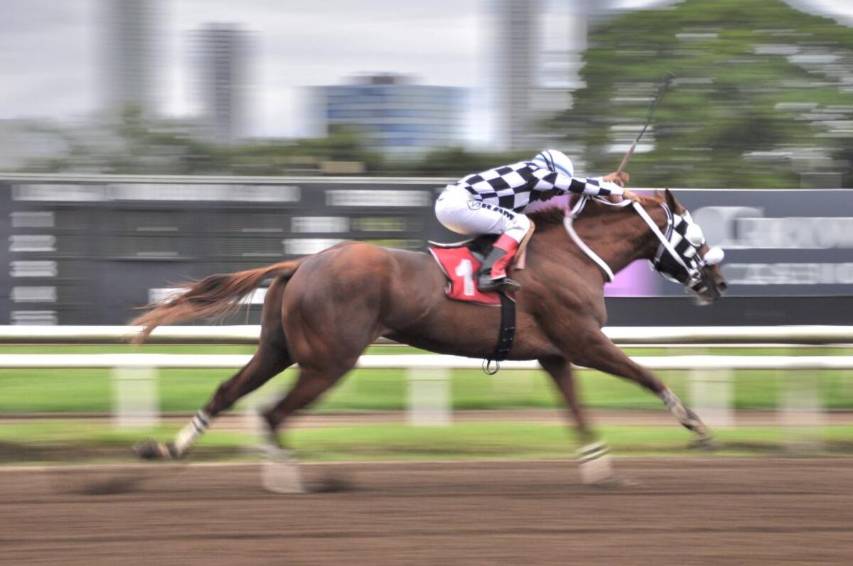 ¡Mister Bristol destroza la pista! Se adueña del Clásico Delvalle y apunta al Caribe 2025