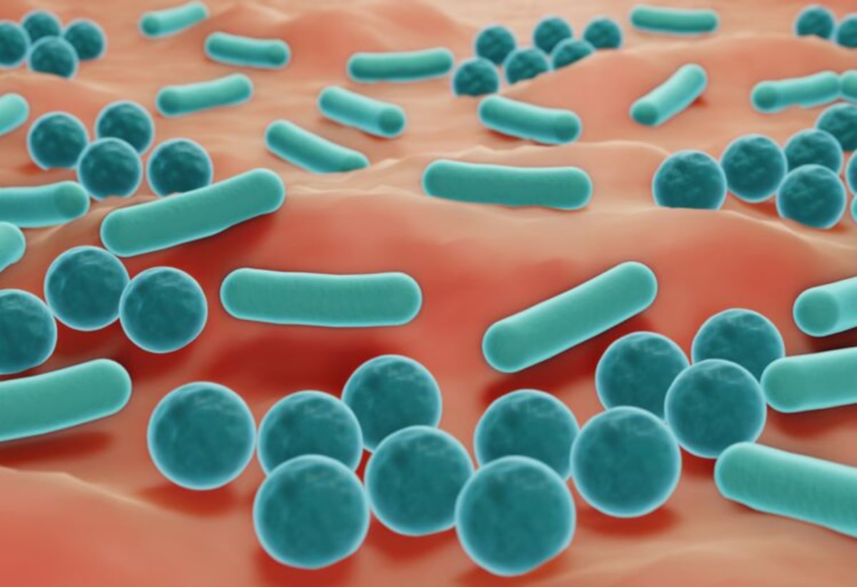 Músculo y riesgo: fisiculturista muere por bacteria mortal