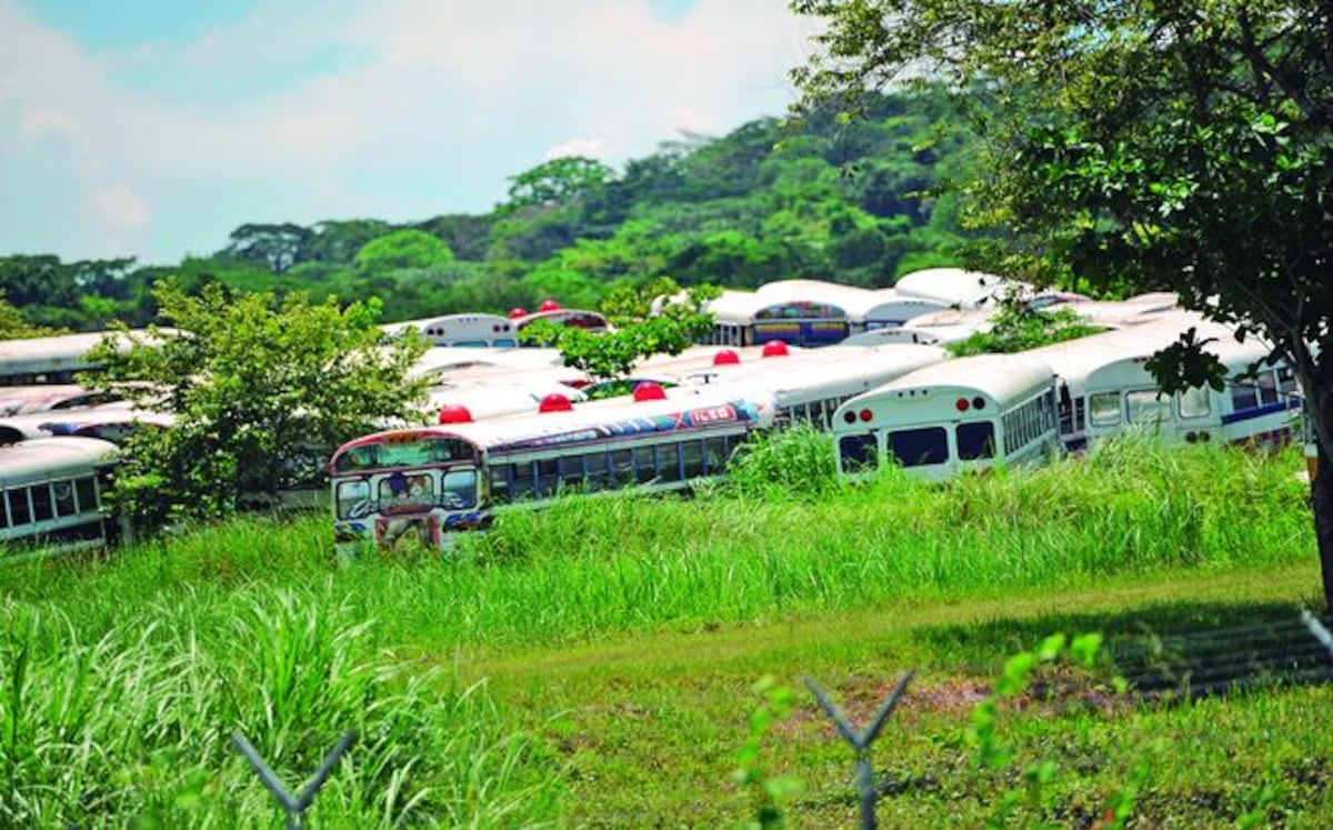 Se perdieron millones de dólares en compesación de diablos rojos