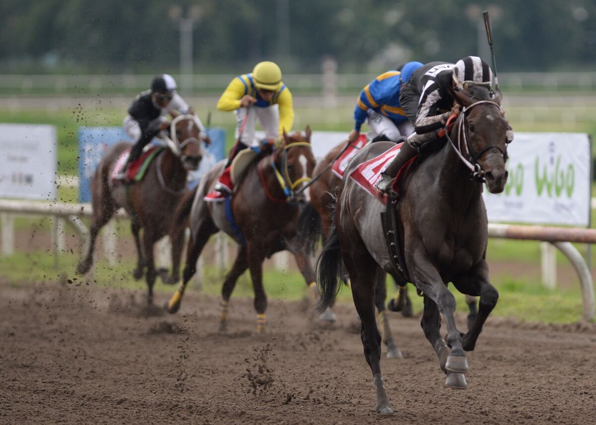 Hipódromo Presidente Remón se Prepara para la 95ª Edición del Clásico Presidente de la República