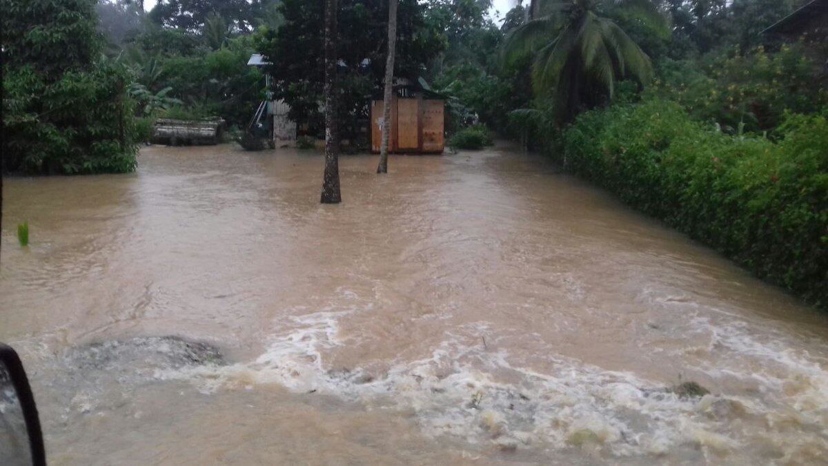 Crecidas de ríos, inundaciones y árboles caídos se registran en Bocas del Toro