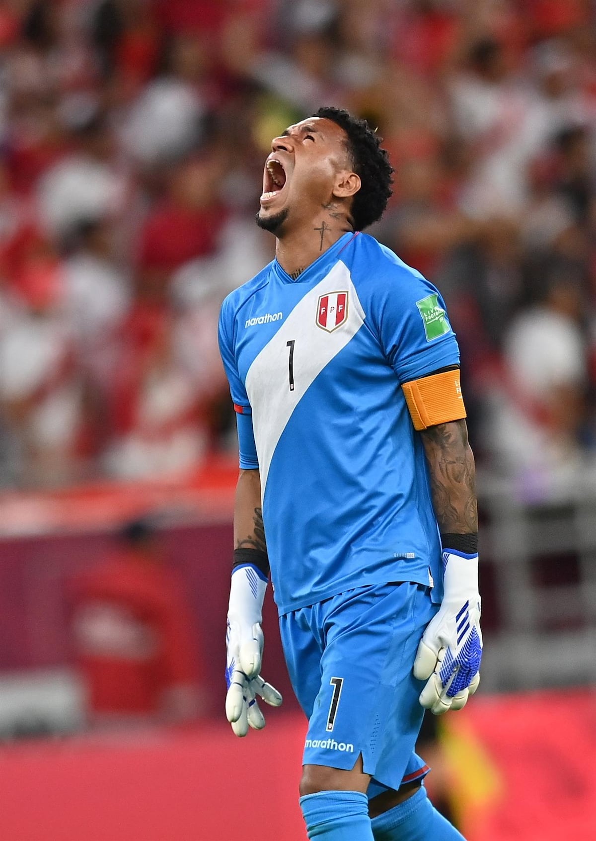 También nos duele, Perú. Es Australia la que va a Catar 2022