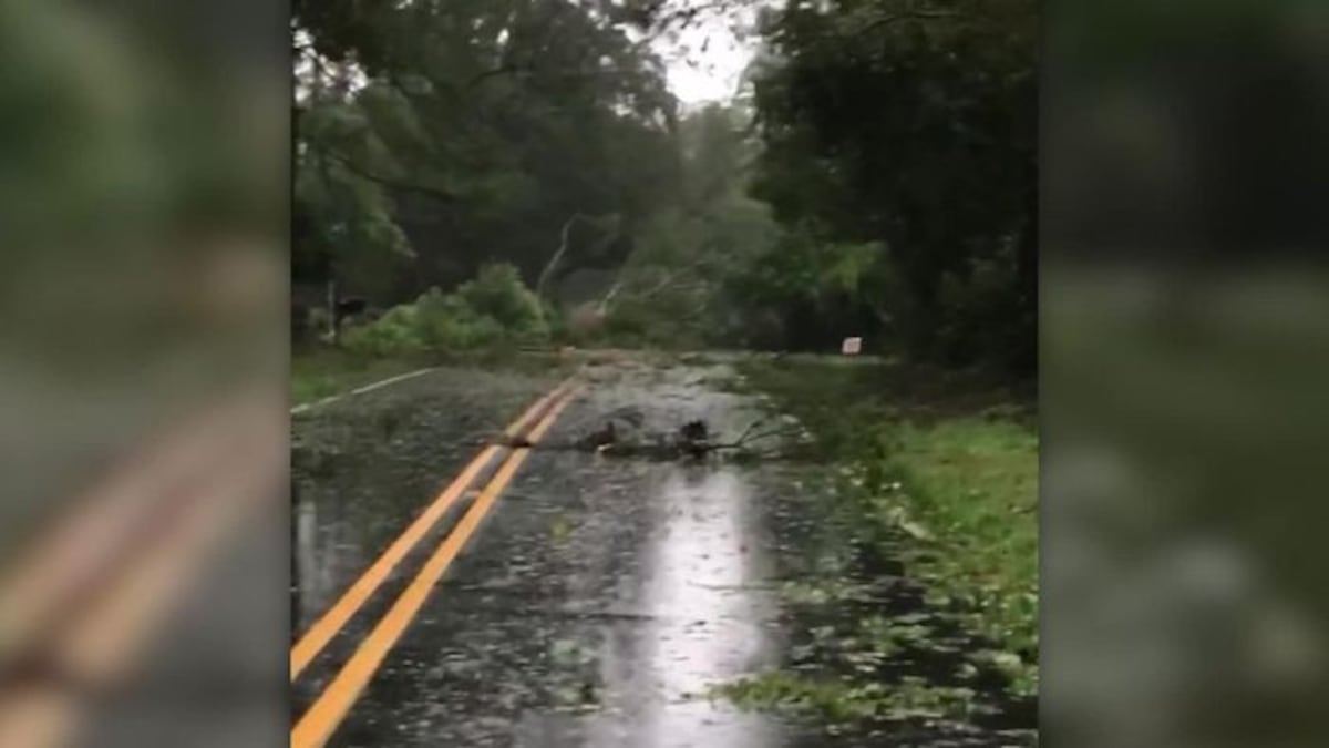 Así se vio la llegada del huracán Florence desde el espacio