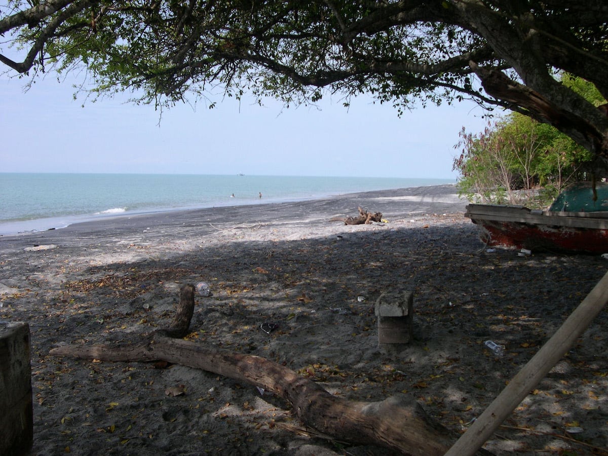 Día de playa termina en tragedia: hombre de 60 años muere por inmersión