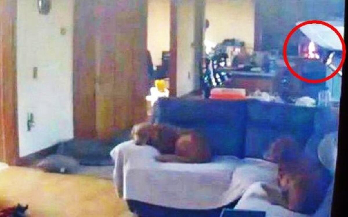 Perro robó comida de la cocina de su dueño y causó incendio