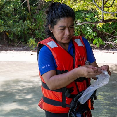 Pez fósil panameño lleva el nombre de destacada científica Ngäbe