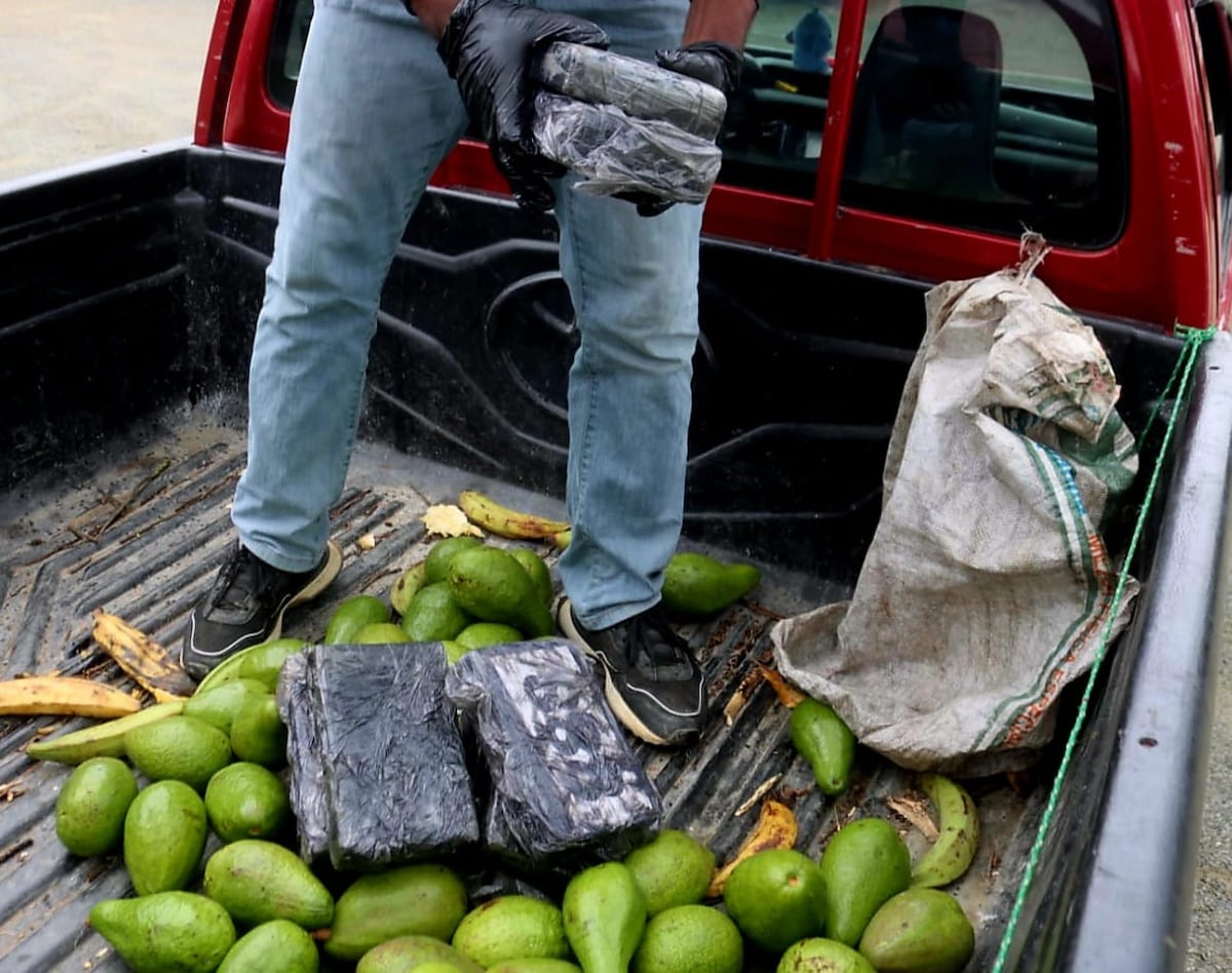 Can detecta algo raro en carga de aguacates y pipas