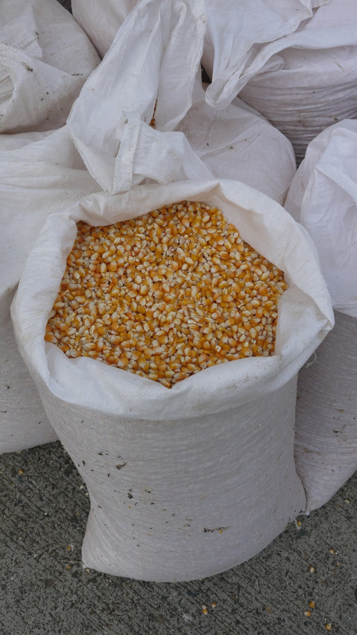 Cena de fin de año con alimentos de calidad producidos por agricultores panameños