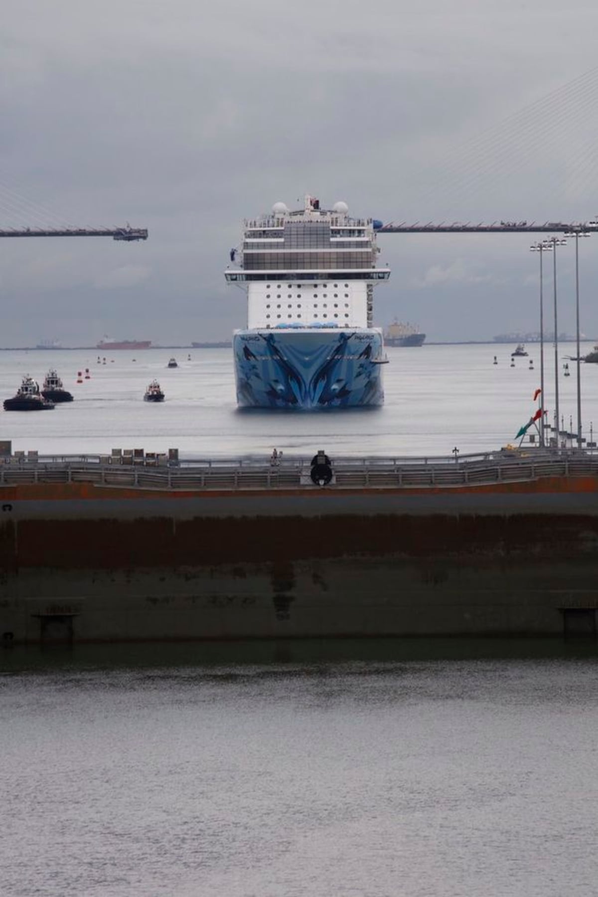 ¡HISTÓRICO!El crucero más grande de pasajeros que pasa el Canal de Panamá. VIDEO