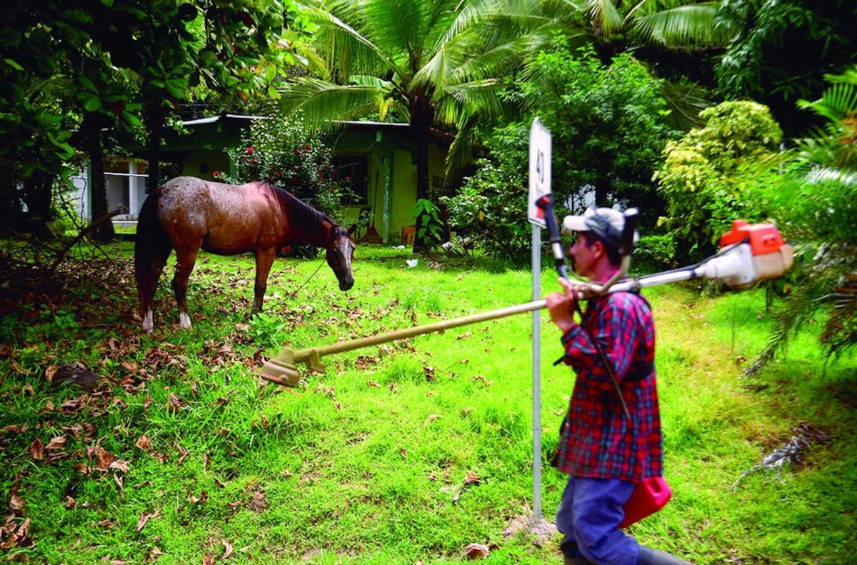 San Martín y Costa del Este, dos realidades en la misma metrópoli
