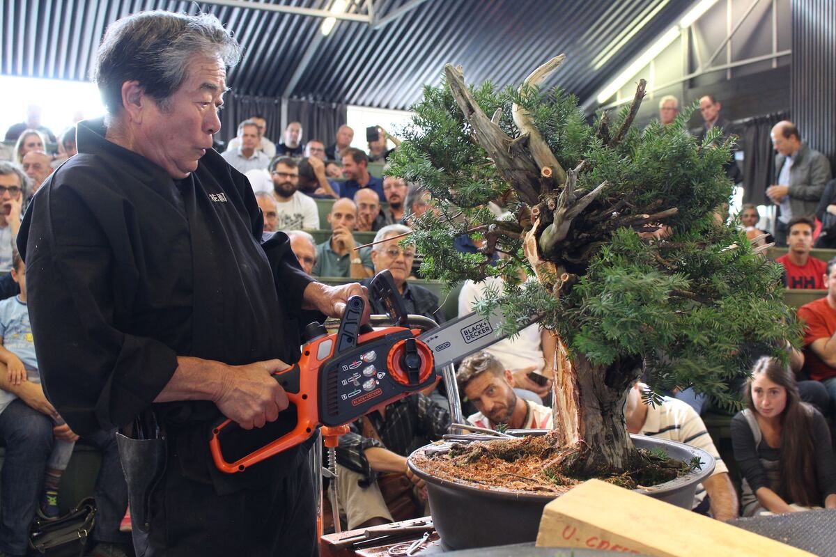 Más de 35 años de experiencia al servicio de panameños