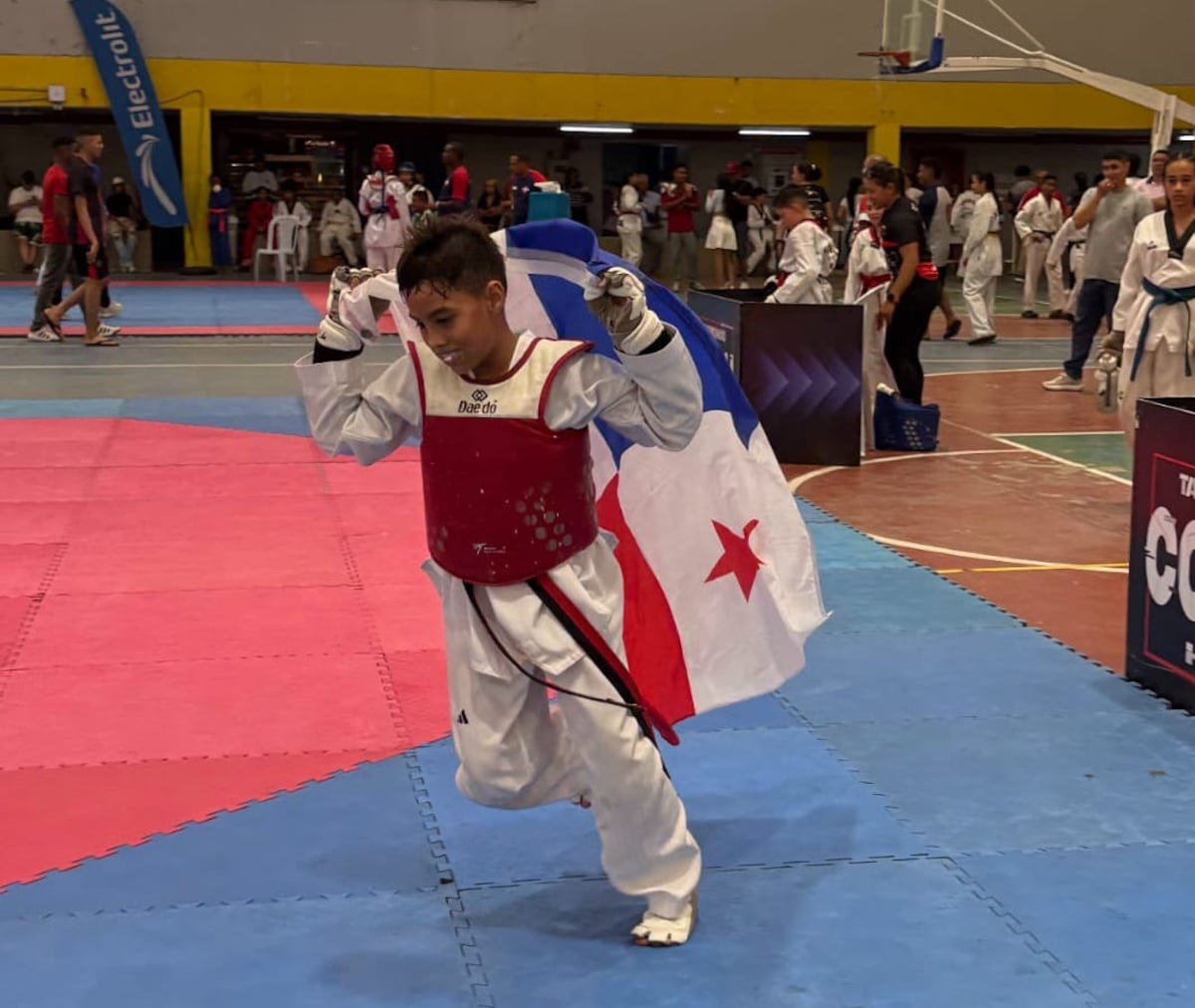 xito-paname-o-en-cartagena-medallas-y-buen-nivel-en-taekwondo-juvenil