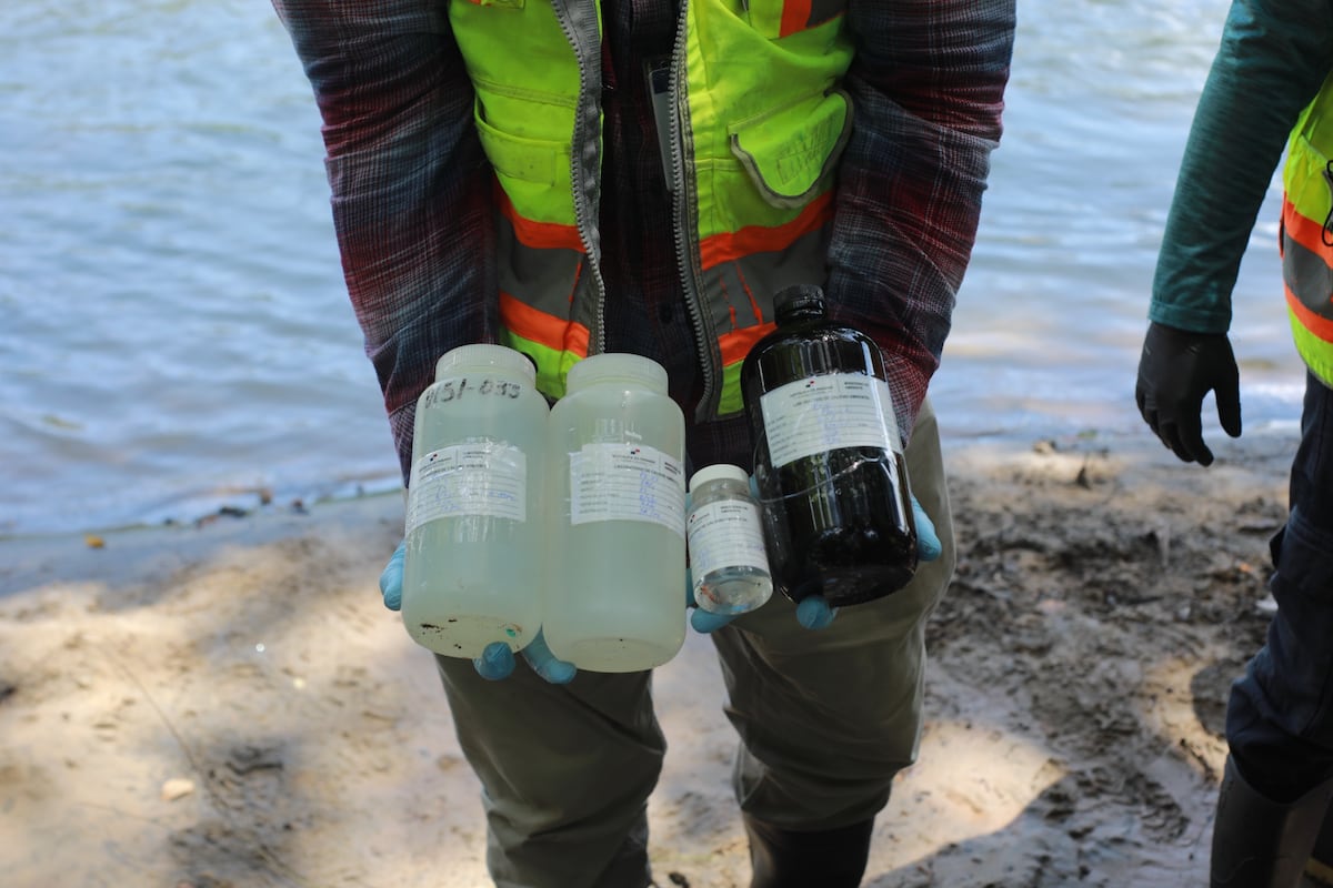 ¡El río Pacora pide auxilio! Plantas ilegales, porquerizas y basura contaminan el agua de miles