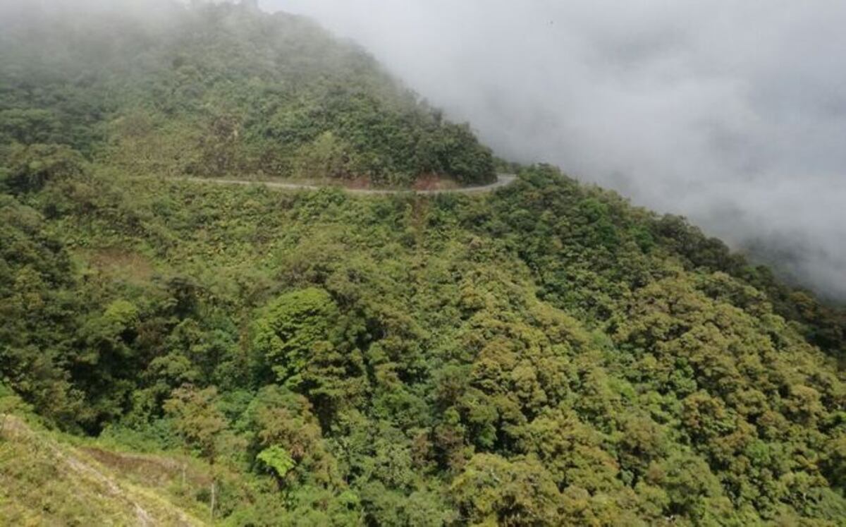 Maestro pudo ver los cuerpos de los educadores en la peligrosa vía de la Comarca