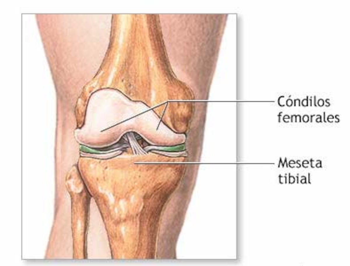 Se acabó el Mundial para Ismael Díaz, es baja en la selección por lesión