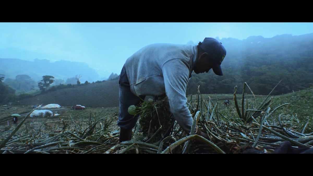 EXCLUSIVA: Miguel González convierte la memoria de su abuela en cine con ‘Saloma’