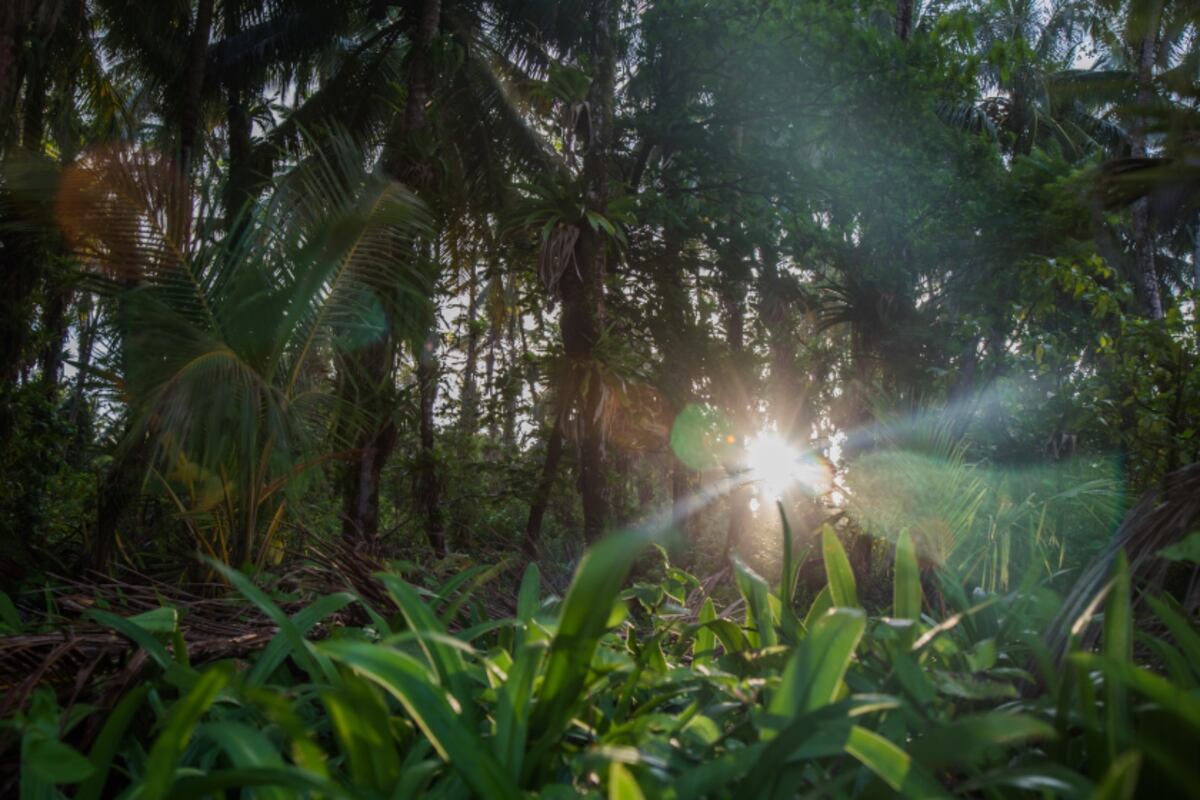Ahora puedes pagar tu entrada a las áreas protegidas de Panamá en línea