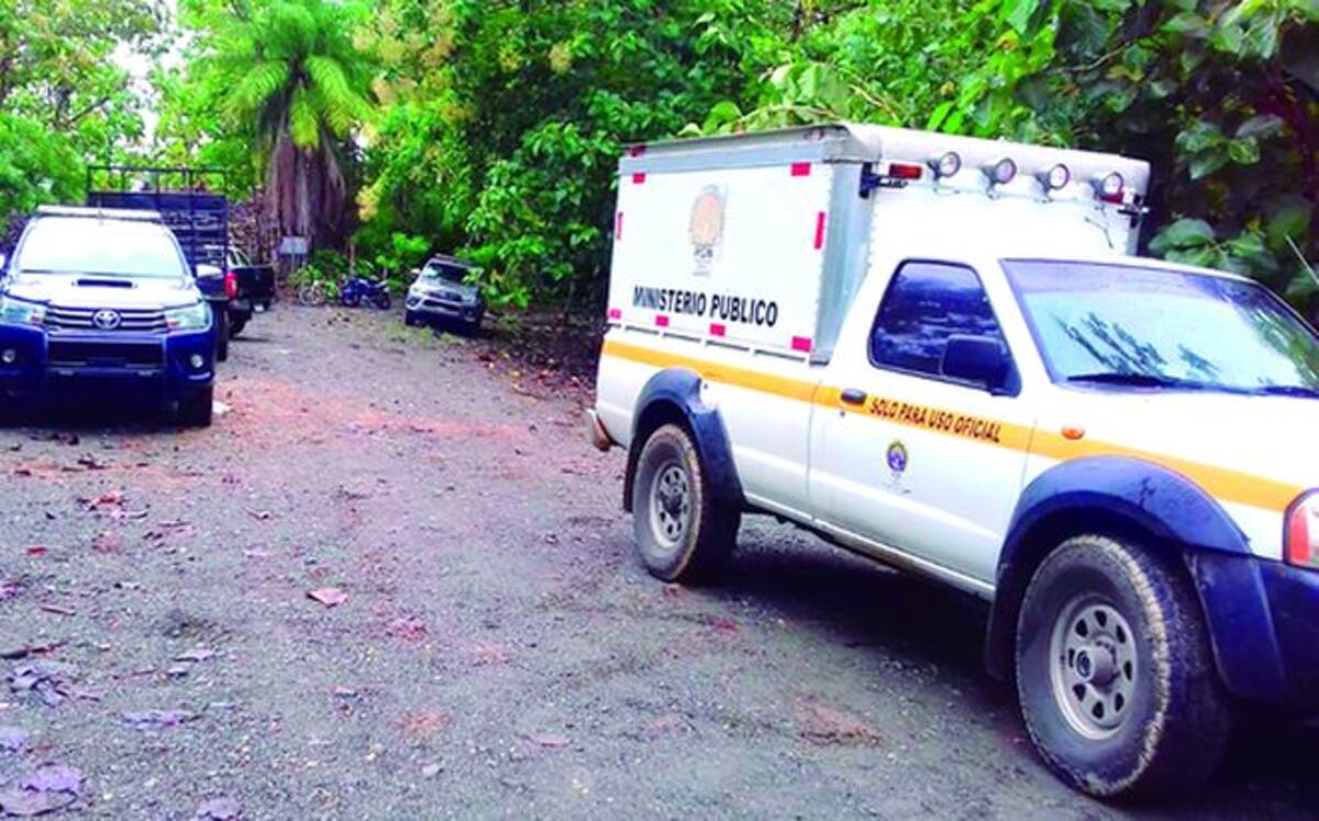 Lamentable jornaleros mueren aplastados por un árbol en Barú 