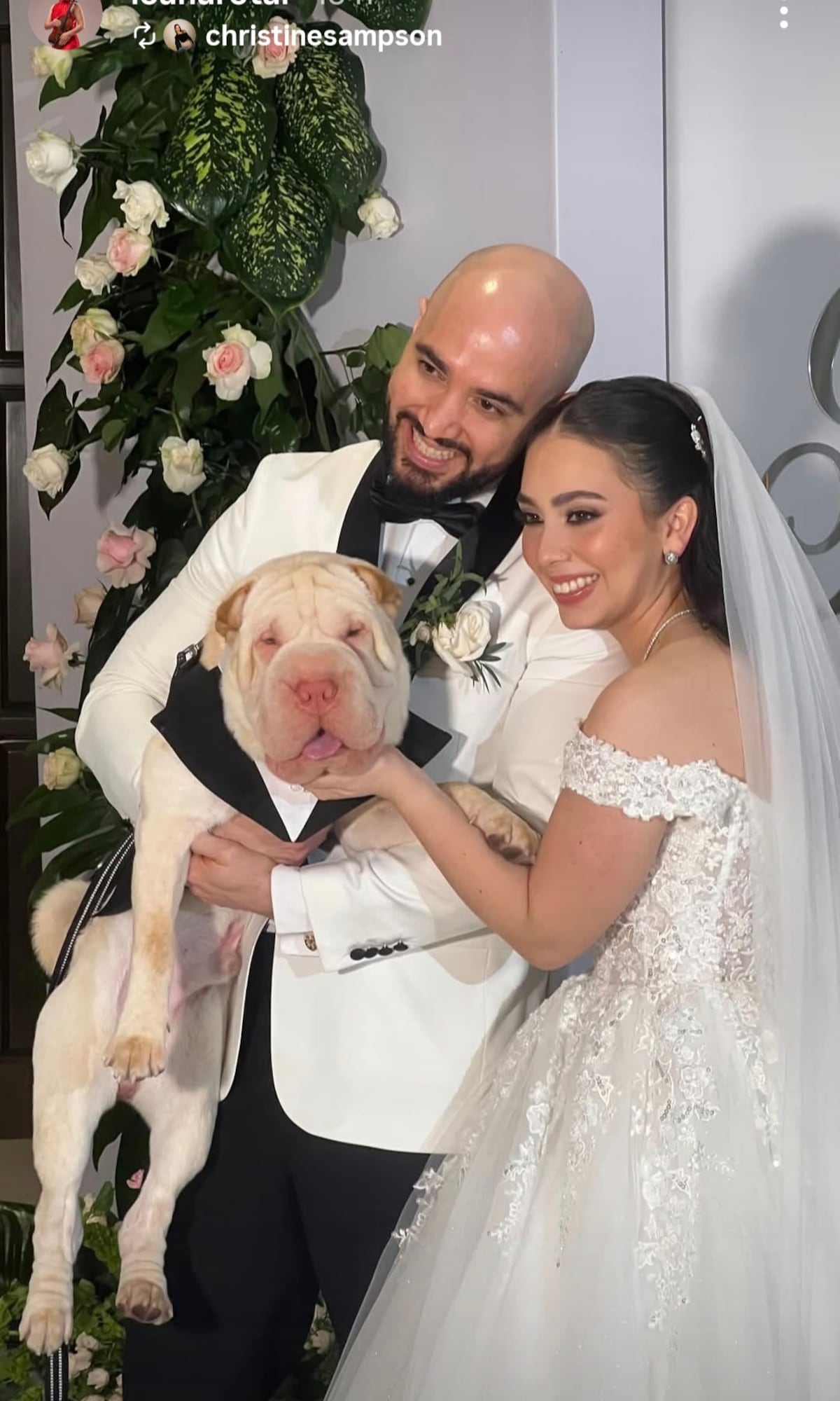 Entró tocando violín como en un cuento de hadas… y terminó prendiendo la fiesta como DJ: así fue la boda del exdiputado Edison Broce e Ioana Rotar que está dando de qué hablar +VIDEO