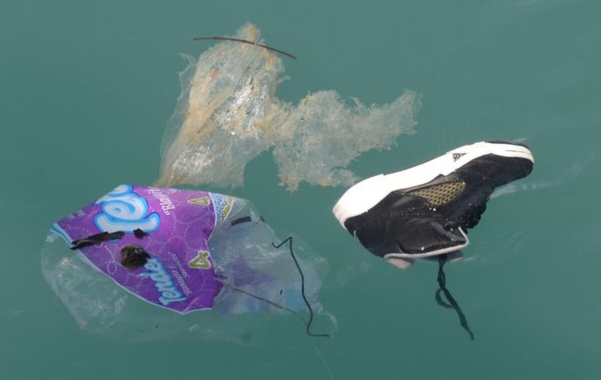 ¡COCHINADA!  Se acaba el año y miren cómo está Amador |VIDEO + FOTOS