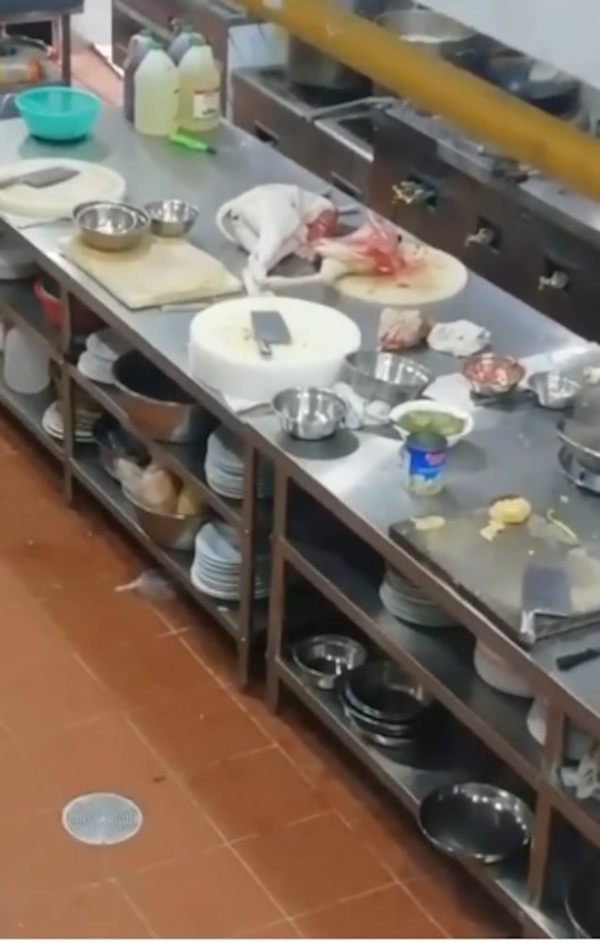 Horror. Circula video de un restaurante donde preparan lo que supuestamente es un perro. Se investiga