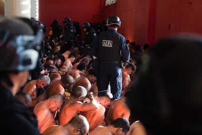 Operación Cerrojo cae en Colón: decomisan municiones, armas, celulares y artículos prohibidos en Nueva Esperanza