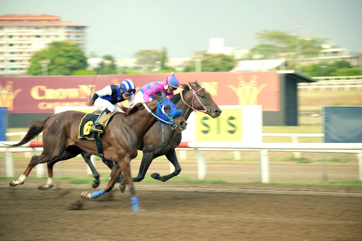 Pasión hípica en el Hipódromo Presidente Remón ofrece una semana llena de emoción y adrenalina