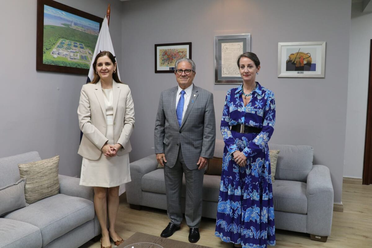 Minsa fortalece su plan para frenar a las superbacterias en hospitales con el apoyo de la OPS y Argentina