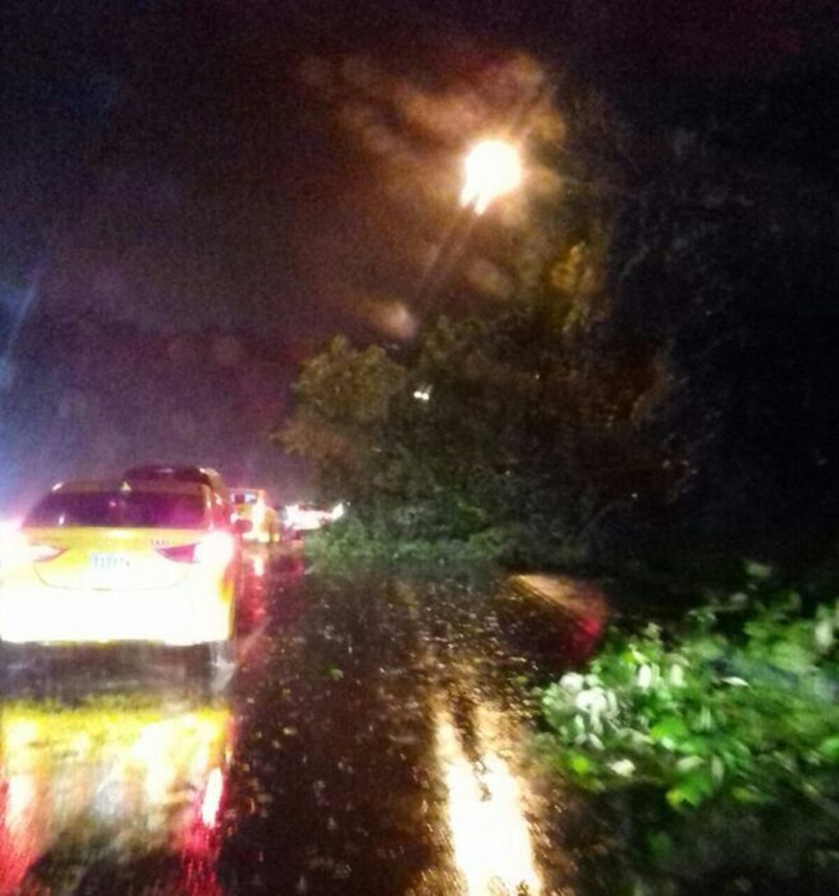 ÁRBOL CAE Y TRANCA LA AUTOPISTA. A  la altura de Loma Cová