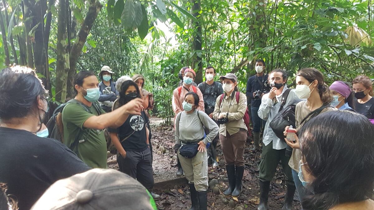 Primates en Panamá y en muchas regiones del mundo están en riesgo