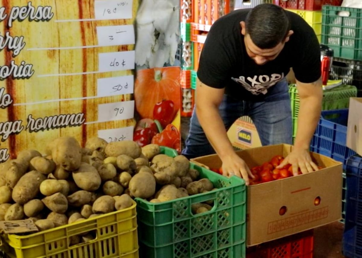 Preocupado por los altos precios. Verifique el costo de los alimentos. Aquí le decimos cómo