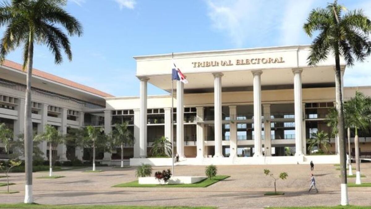 Tribunal Electoral no improvisará en caso de que se apruebe el referéndum