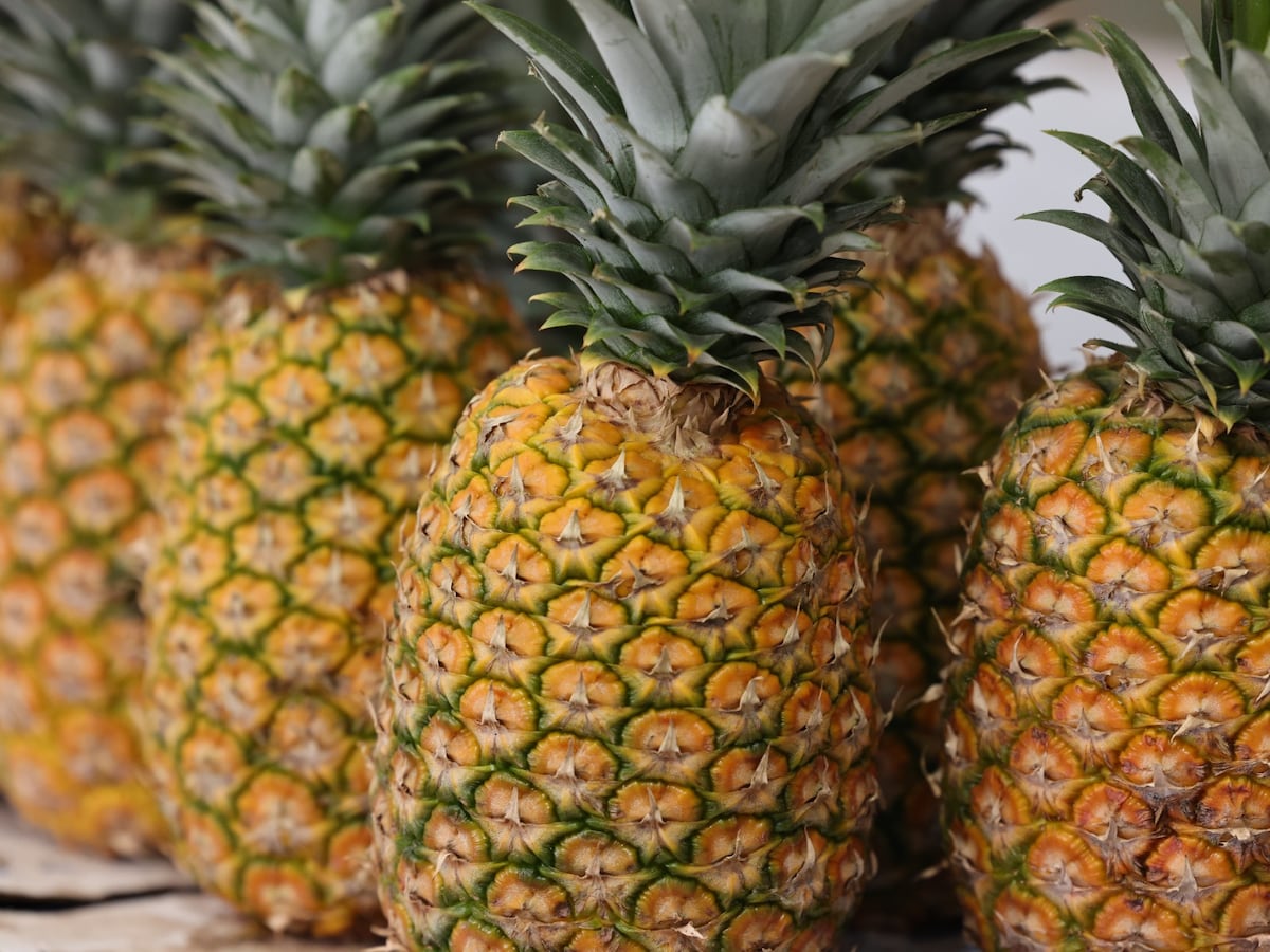 El agro panameño pisa el acelerador y crecen los certificados de exportación